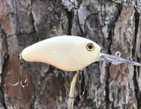 Image 1 of SPEEDBAITS Custom Airbrushed Evergreen Combat Crank CLONE Crankbait BONE