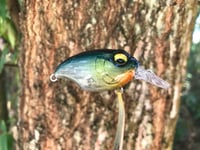 Image 4 of SPEEDBAITS Custom Airbrushed Crankbait BFS G1