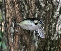 Image 1 of SPEEDBAITS Custom Airbrushed Crankbait BFS V1