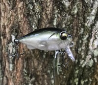 Image 2 of SPEEDBAITS Custom Airbrushed Crankbait BFS V1