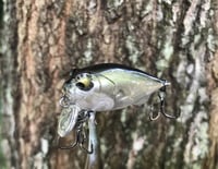 Image 3 of SPEEDBAITS Custom Airbrushed Crankbait BFS V1
