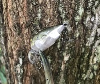 Image 4 of SPEEDBAITS Custom Airbrushed Crankbait BFS V1