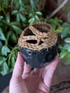 Black Pine Needle Bowl