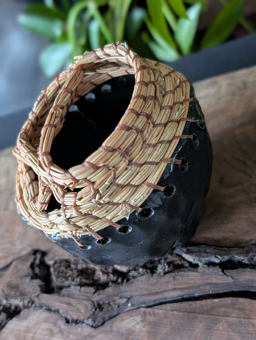 Black Pine Needle Bowl