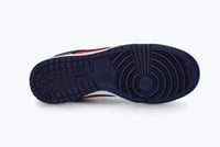 Image 5 of Dunk low blue red