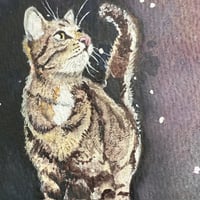 Image 4 of 'What Cats See When They Stare Into Space' - Number Two