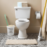 Toilet Mop Sink Fizz