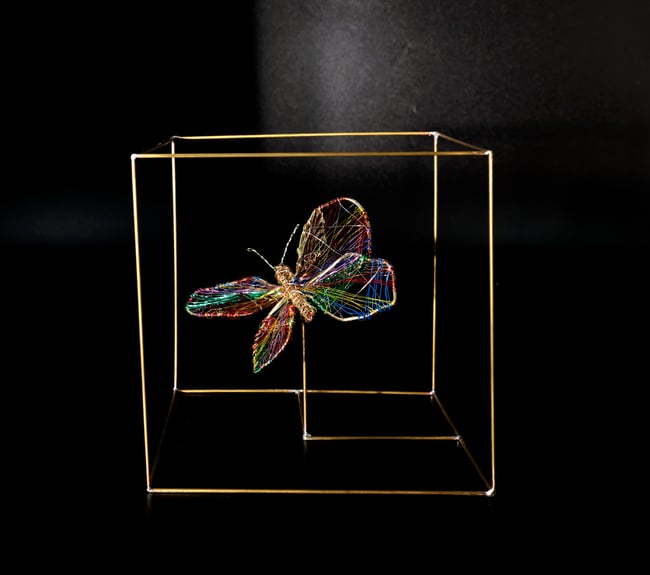 Wire butterfly sculpture in a bronze cube
