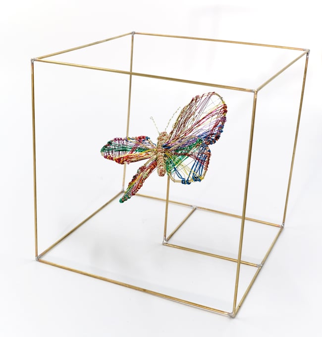 Wire butterfly sculpture in a bronze cube