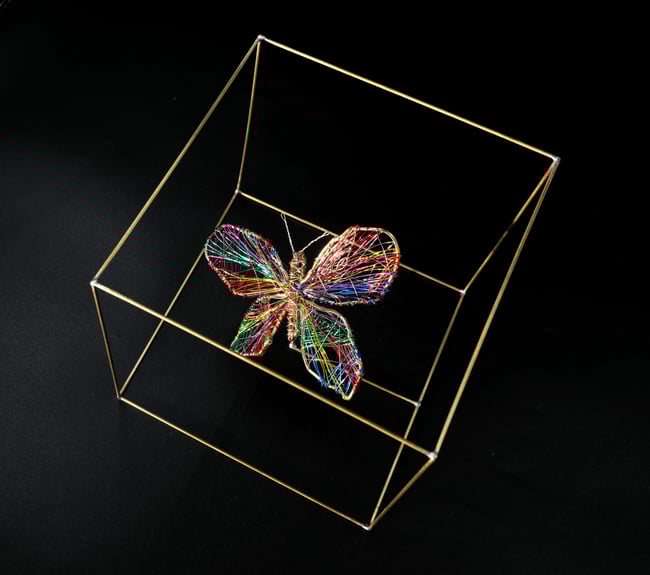 Wire butterfly sculpture in a bronze cube