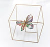 Wire butterfly sculpture in a bronze cube