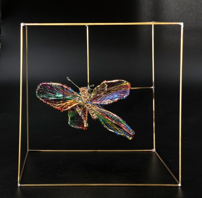 Wire butterfly sculpture in a bronze cube