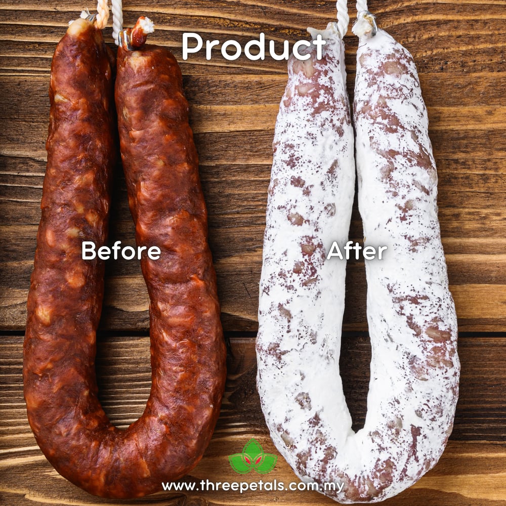 Salami Mold (Penicillium Nalgiovense) Live Mycelium Mushroom Culture Spawn Seed