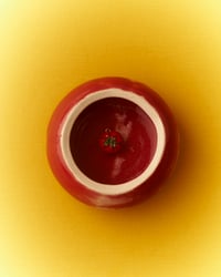 Image 2 of Tomato Jewellery box 