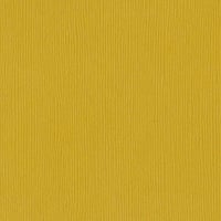 Amber Fourz 12"x12" Cardstock