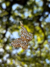 La Mariposa del barrio