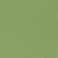Lily Pond Fourz 12" x 12" Cardstock