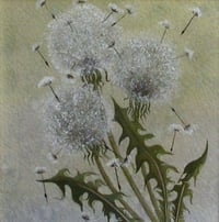 Image 2 of Dandelion 2439 - Open Edition Print - Miniature.