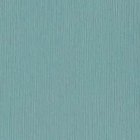 Whirlpool Fourz 12" x 12" Cardstock