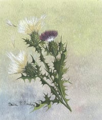Image 2 of Thistle 2361 - Open Edition Print - Miniature.
