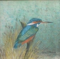 Image 2 of Kingfisher 2363 - Open Edition Print - Miniature.