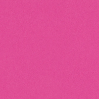 Watermelon Sensation Card Shoppe 12" x 12" Cardstock
