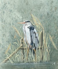 Image 2 of Heron 2364 - Open Edition Print - Miniature.