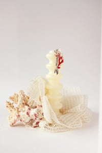 Image 2 of COLLAB - EDITION LIMITÉE - BO SYMBIOSE