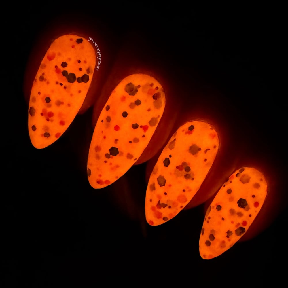 Image of Pumpkin Patch