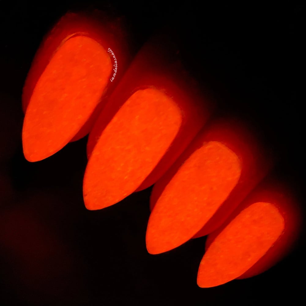 Image of Neon