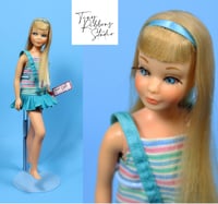 Image 1 of Blonde Bend Leg TNT Skipper Doll in Original Outfit
