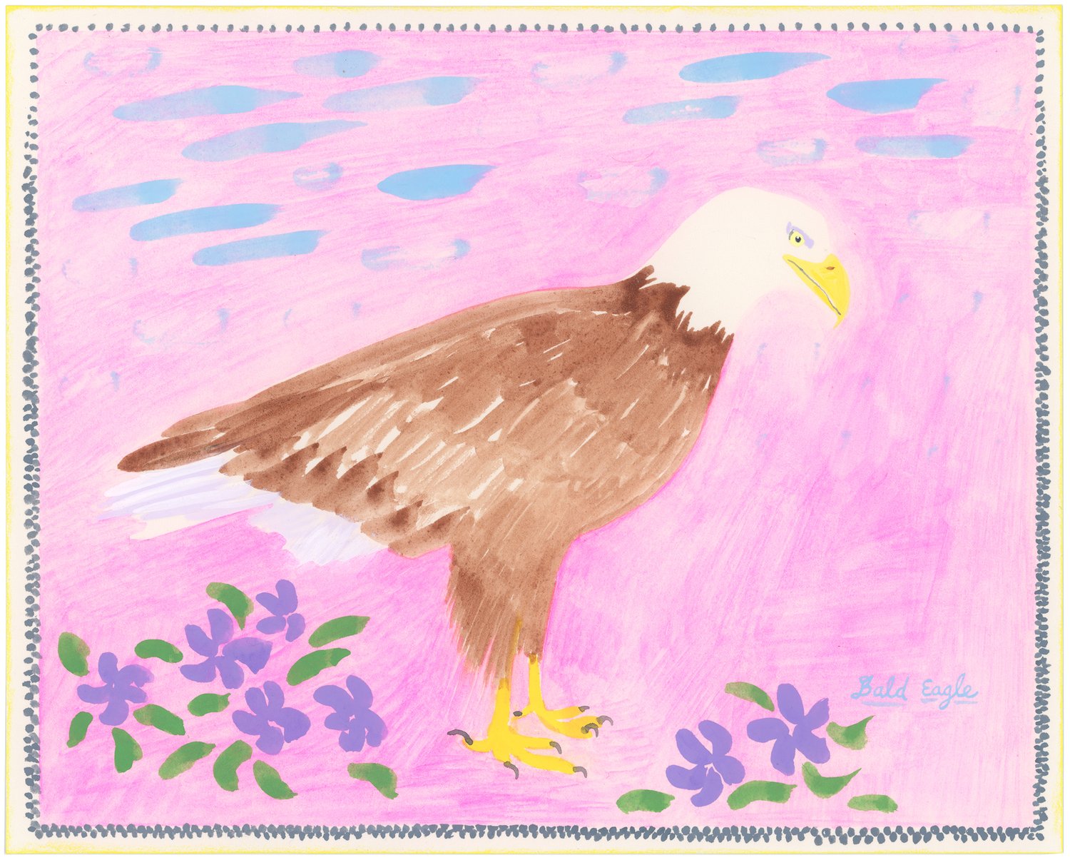 Bald Eagle