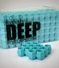 Image 3 of Hive Caps- (DEEP)