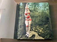 Image 2 of  Behind Closed Doors: The Art of Hans Bellmer. Therese Lichtenstein