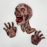 Image 1 of The Reaching Dead