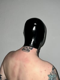 Image 2 of Micro Perforated Hood