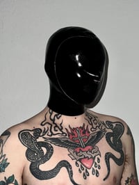 Image 1 of Micro Perforated Hood