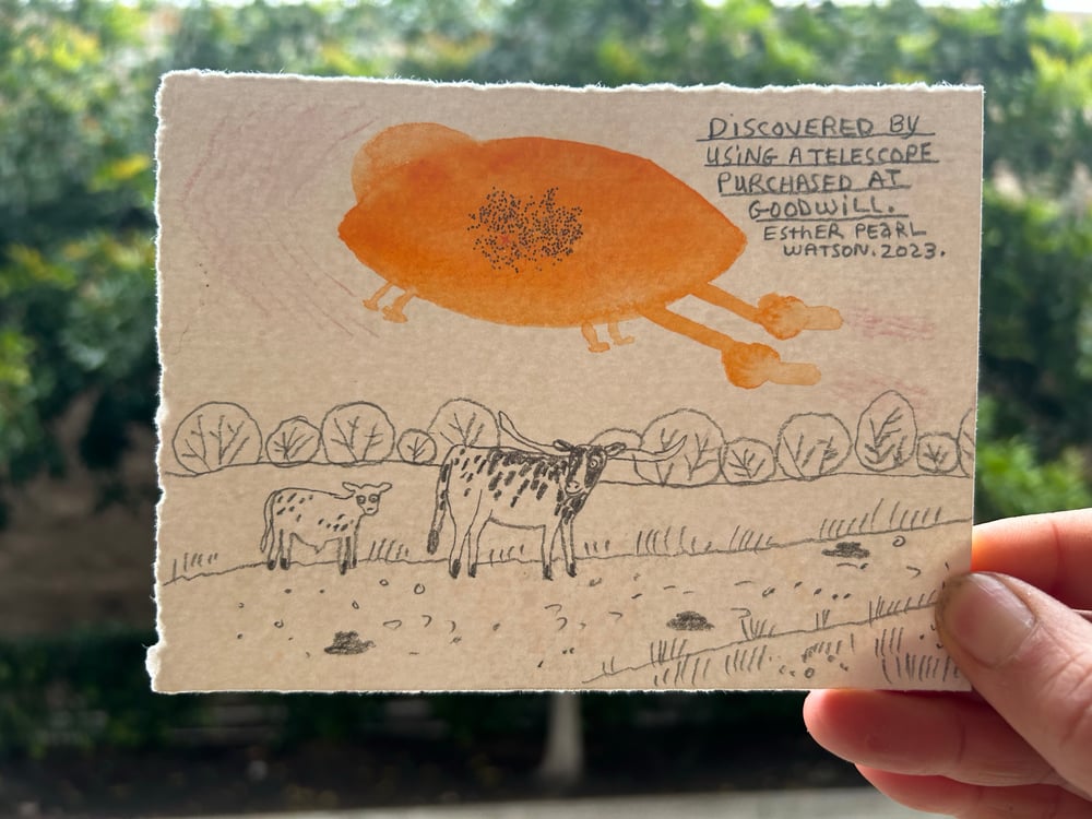 Image of (Esther Pearl Watson) Discovered Using A Telescope