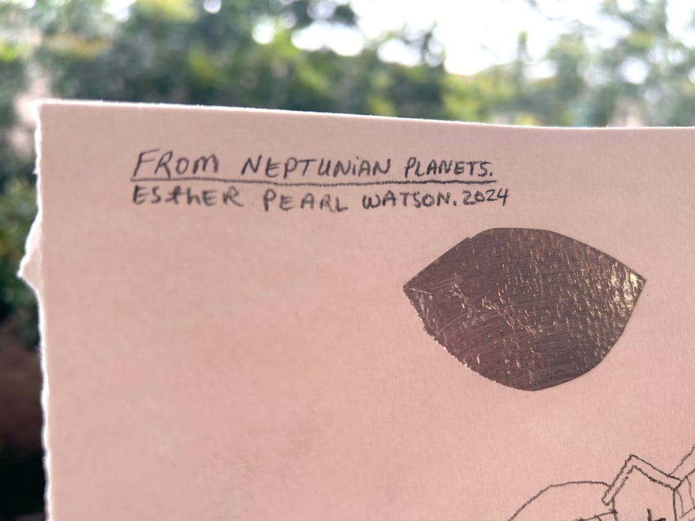Image of (Esther Pearl Watson) From Neptunian Planets