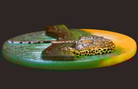 Image 11 of Jaguar Diorama - Handmade 3D Wooden Wall Hanging Artwork