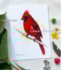 Cardinal
