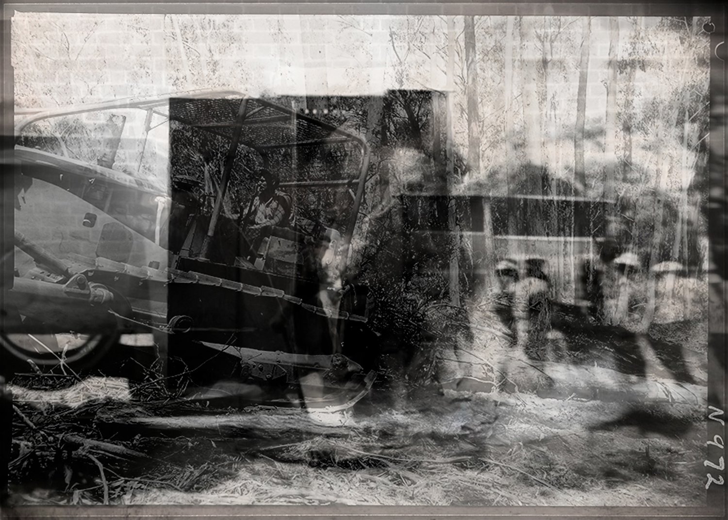 Image of Land Clearing (09)