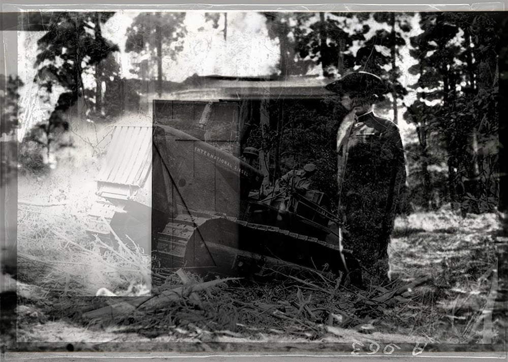 Image of Land Clearing (04)
