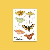 Moths Sticker Sheet