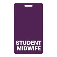 Image 1 of Student Midwife badge 