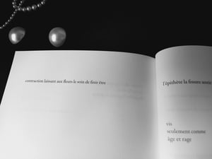 Image of Stanislas Nezri /// Vert a à voir