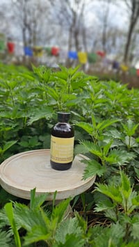 Image of Single batch, Wild Cherry bark, Cedar Bark, & Nettle honey syrup
