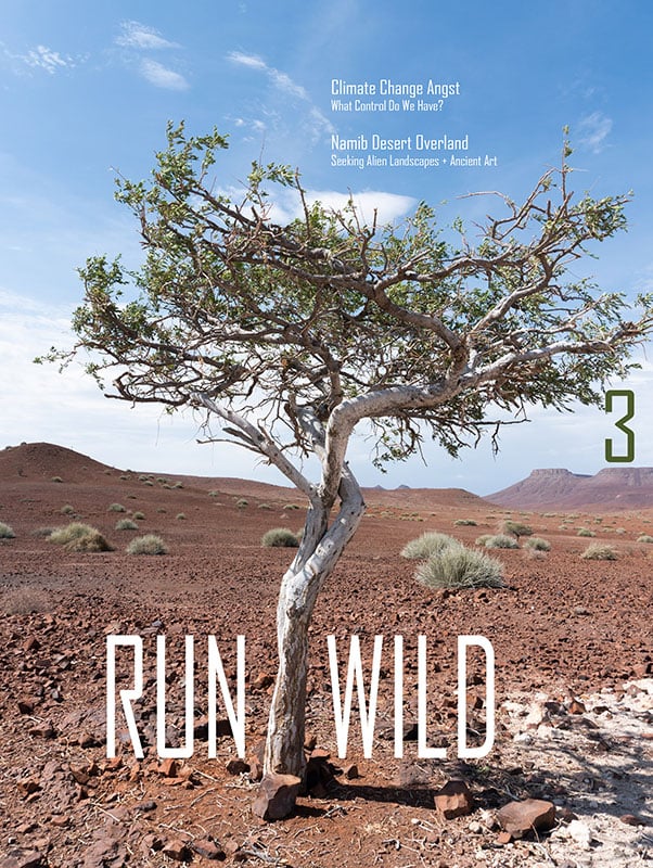 Image of Bundle (3 mags) - 25% Discount