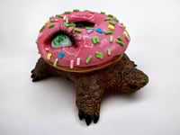 Image 2 of Sweet Home Turtle