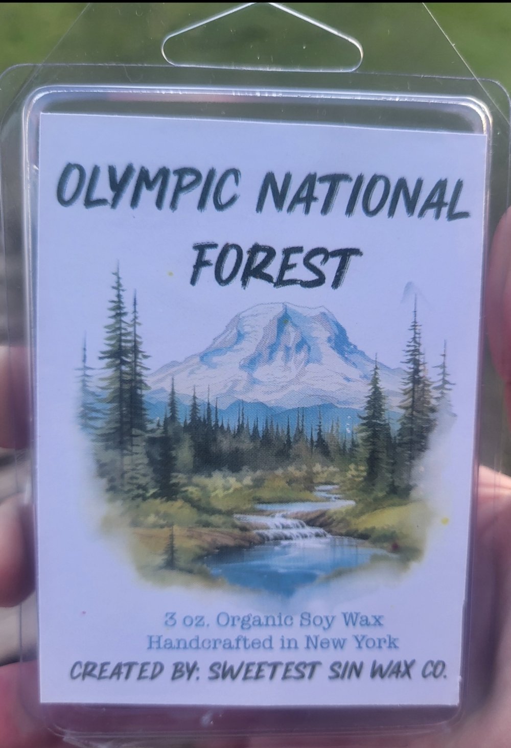 Image of Olympic National Forest